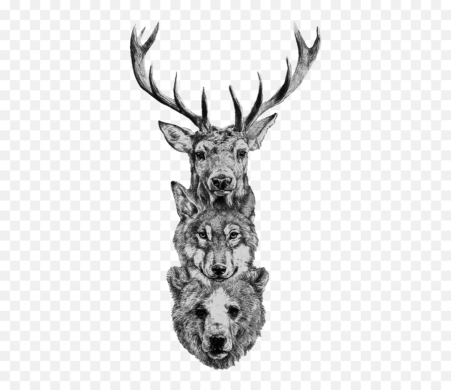 Deer Wolf Bear Tattoo - Deer Wolf Bear Tattoo Png,Deer Skull Png