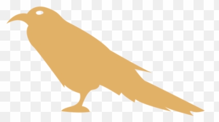 Crow Raven Detailed Silhouette - Transparent Png U0026 Svg Robin,Crow Transparent