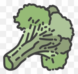 Broccoli Vegetable Shirt - Clip Art Png,Brocolli Png