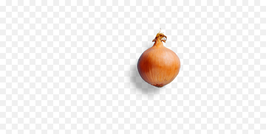 Northern Maverick - Yellow Onion Png,Onion Transparent Northern Maverick - Yellow Onion Png,Onion Transparent