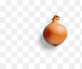 Northern Maverick - Yellow Onion png