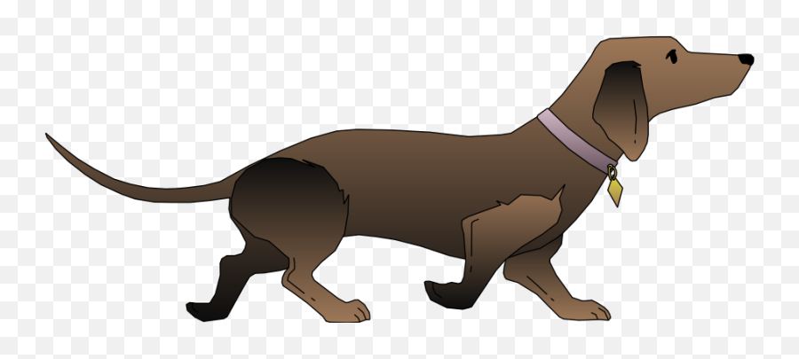 Dog Black And Brown Vector Png Clipart - Dachshund Vector Pixabay,Dachshund Png