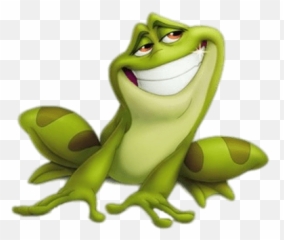 Naveen Frog Appearance Transparent Png - From The Princess And