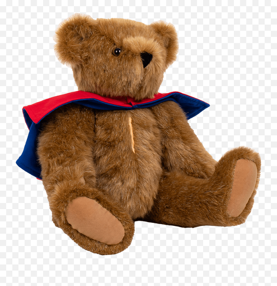 Love Your Heart Bear - Personalized Cape Teddy Bear Png,Teddy Bears Png