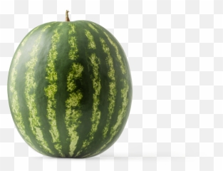 Watermelon Graphic Asset - png