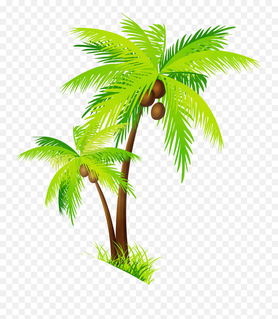Portable Network Graphics Palm Trees - Coconut Tree Clipart Png,Palm Trees Transparent