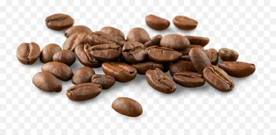Our Store U2014 Perk Events Png Coffee Beans