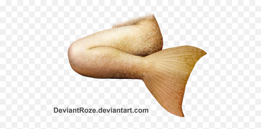 Download Free Png Mermaid Tail File - Dlpngcom Yellow Mermaid Tail,Mermaid Tail Transparent Background