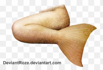 Download Free Png Mermaid Tail File - DLPNGcom Yellow