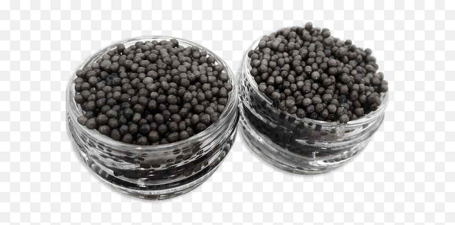 Caviar Online Buy Best In Dubai U0026 Abu Dhabi - Airsoft Pellets Png,Caviar Png
