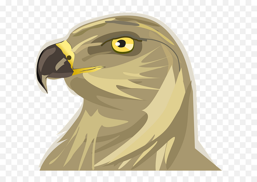 Hawk Head Clipart - Portable Network Graphics Png,Hawk Png