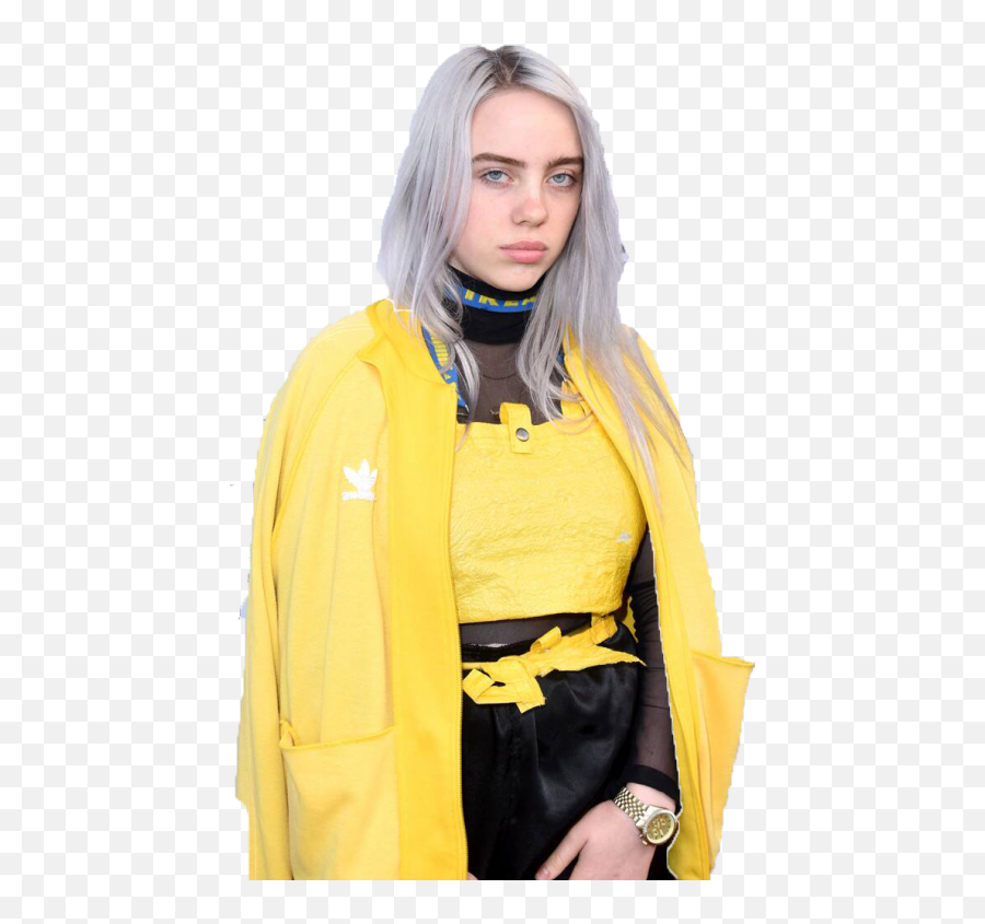 Billie Eilish 2 Png - Transparent Png Billie Eilish Png,Billie Eilish Png