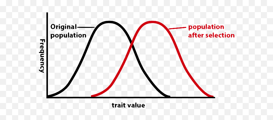 Natural Selection In Gene Pools - Vertical Png,Natural Selection 2 Icon