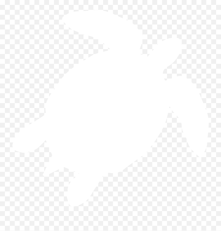 Donate Now To Help Us Spread The Word - Kempu0027s Ridley Sea Ridley Sea Turtle Png,Ridley Png