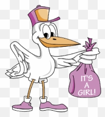 Stork Carrying Baby Girl 4 600600 Pixels - New Dad Itu0027s A Stork With Baby Girl Png,It's A Girl Png