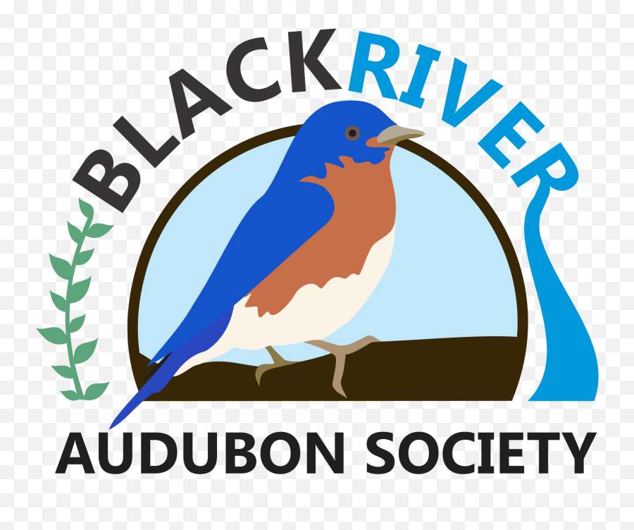 Black River Audubon Society - Language Png,Bluebird Icon