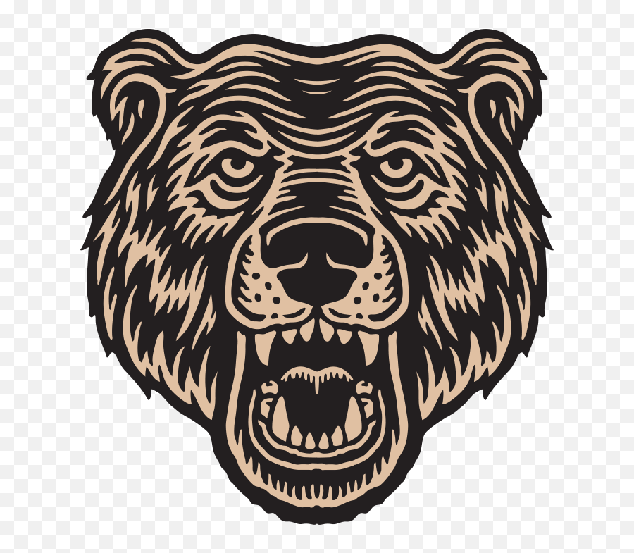 Download Buzz Mill Bear Tan Head - Siberian Tiger Png,Bear Head Png