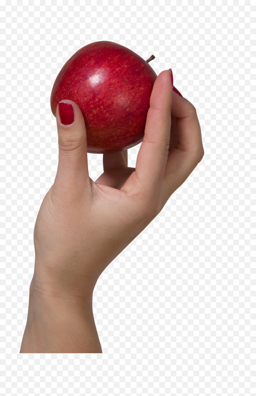 A Hand Holding Red Apple Png Image - Apple In Hand Png,Hand Holding Png