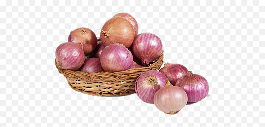 Onion Transparent Free Png - Onion 1 Kg,Onion Png