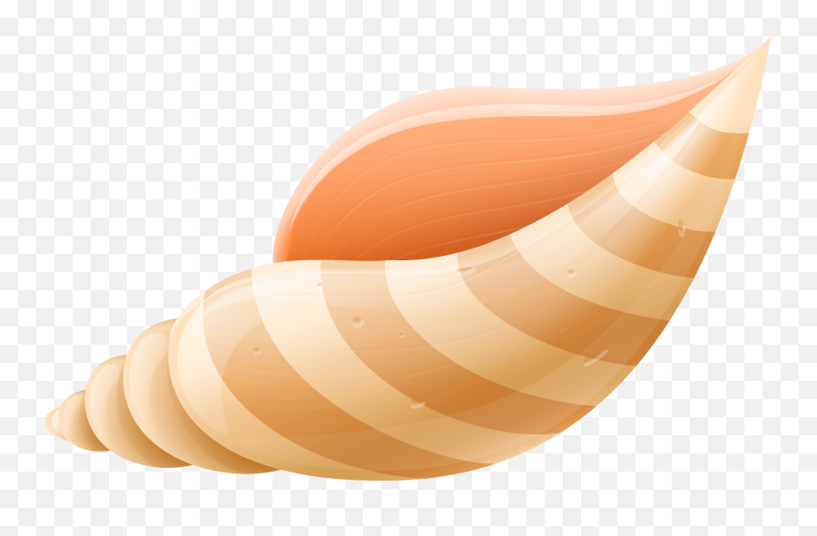 Shell Clipart Png - Sea Shells Clipart Png,Sea Shell Png