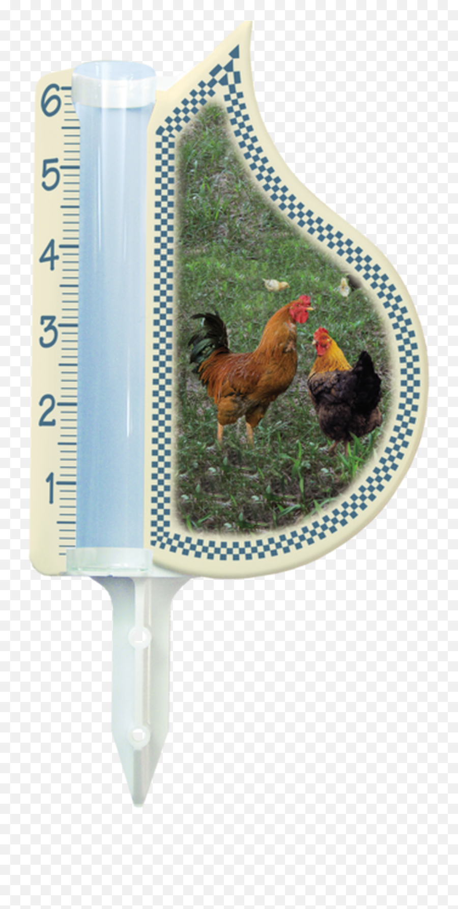 Chicken Blue Border 6 Rain Drop Gauge - Rooster Png,Blue Border Transparent