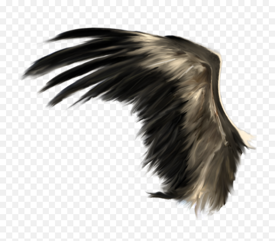 Wings Png - Black Angel Wings Png,Wing Png