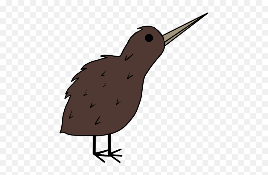 Kiwi Bird Png - Illustration,Kiwi Bird Png