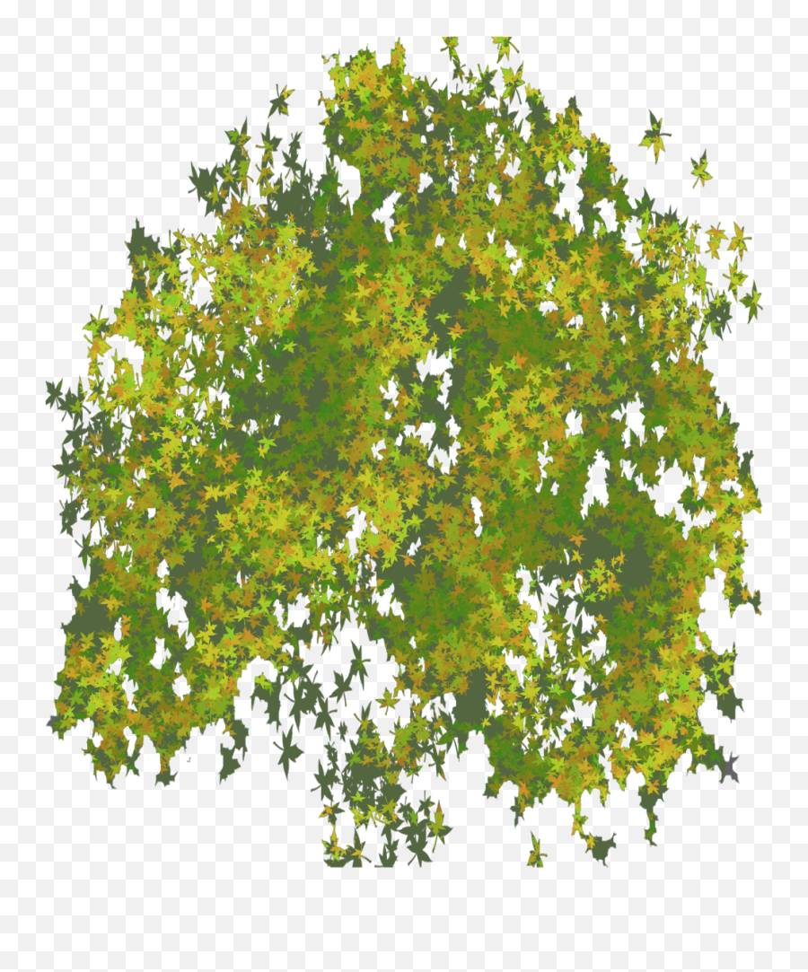 Tree Png Plan Free - Top Tree Png,Trees Top View Png