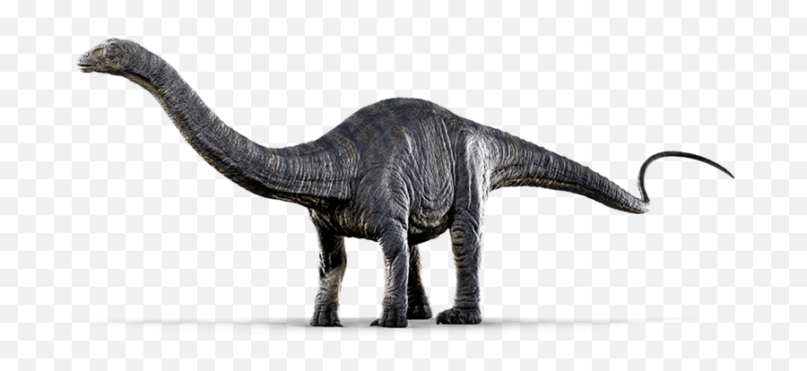 Similar Dinosaur Stegosaurus - Jurassic World Dinosaurs Apatosaurus Png,Brachiosaurus Png