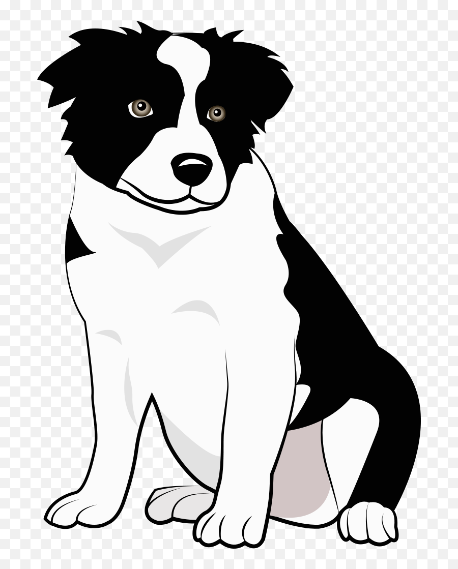 Border Collie Puppy Steemit - Cartoon Border Collie Png,Border Collie Png