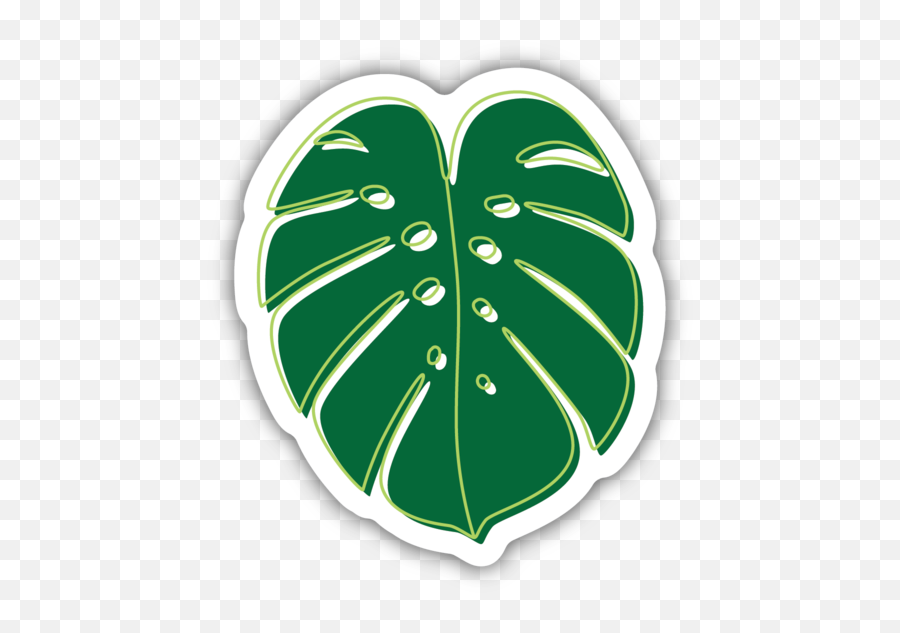 Monstera Deliciosa Leaf - Heart Png,Monstera Leaf Png