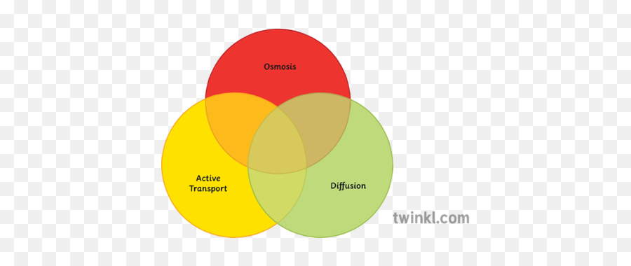 Venn Diagram Science Ks3 Ks4 Illustration - Twinkl Venn Diagram Ks3 Png,Venn Diagram Png