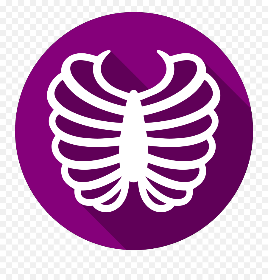 Rib Cage Vector Graphics Computer Icons Bone - Png Download Ribcage Logo,Cage Transparent Background