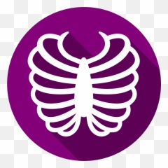 Rib Cage Vector Graphics Computer Icons Bone - png download Ribcage Logo