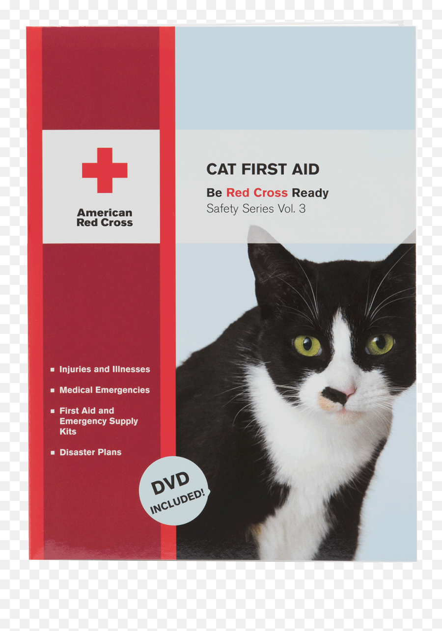 Cat First Aid Red Cross Store - Domestic Cat Png,Cat Whiskers Png