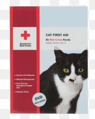 Cat First Aid Red Cross Store - Domestic png