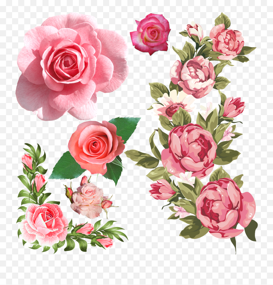 Rose Png Tumblr Posts Tumbralcom Frame Flower Pink Rose Rose Border Pink Roses Png Free Transparent Png Images Pngaaa Com