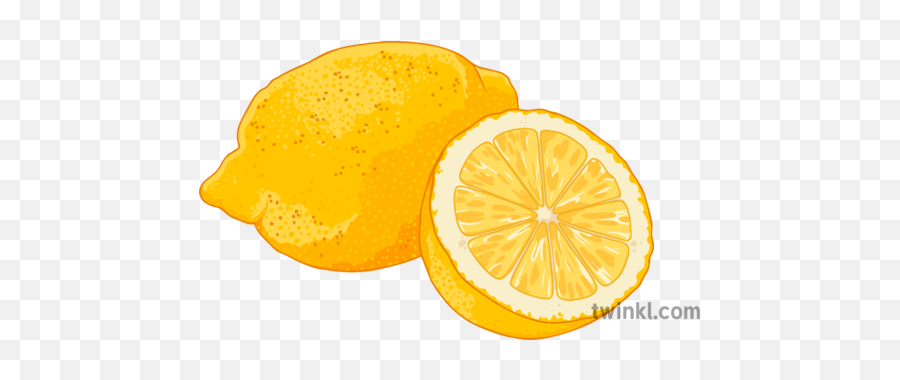 Lemon Illustration - Twinkl Bitter Orange Png,Lemon Png