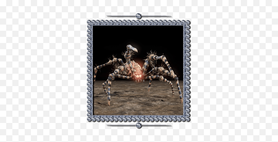 Spider Nioh Wiki - Tanuki Nioh Png,Transparent Spiders