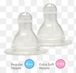 Evenflo Nipple Regular - Nipple Shield Price In Pakistan Png,Nipple Png