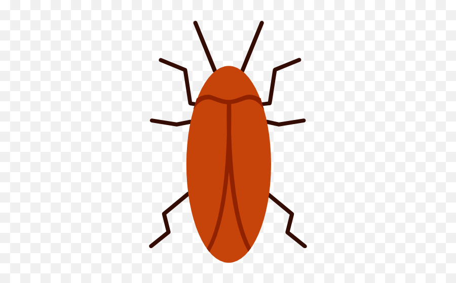 Insects Insect Cockroach Free Icon Of - Insect Png,Cockroach Png
