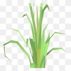 Fever Grass Runescape Wiki Fandom - Vertical Png,Green Grass Png