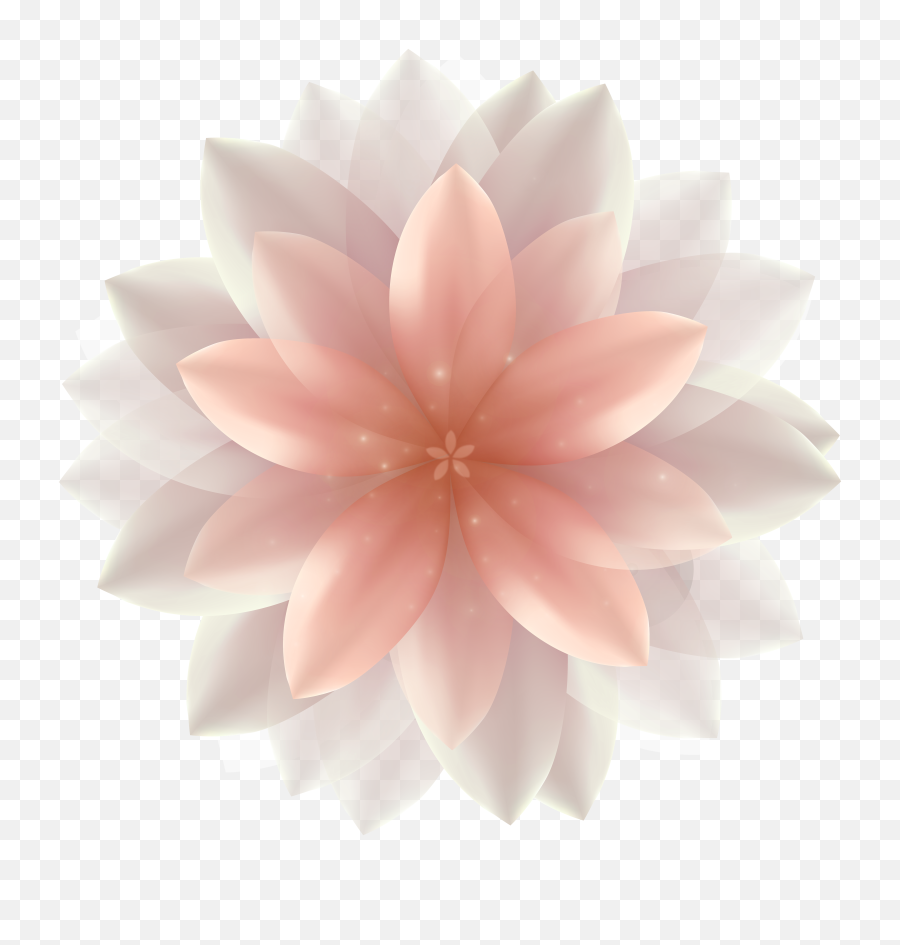 15 Flower Clipart Clear Background For Free Download - Transparent Background Flower In Png,Peach Transparent Background