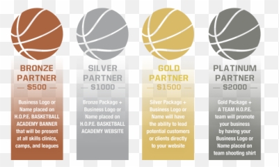 Basketball Outline Png - Gold Silver Bronze Partner For Basketball