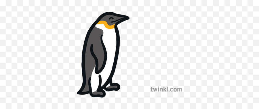 Penguin Map Icon Antarctic Bird Flightless Eyfs Illustration - Emperor Penguin Png,Penguins Icon