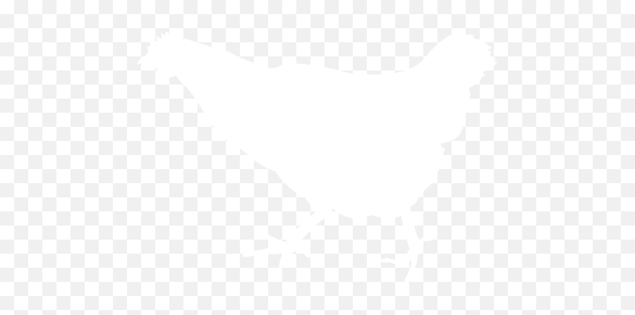 White Chicken 2 Icon - Chicken Icon Png White,Chicken Icon Png