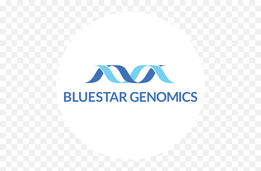 Bluestar Genomics Delivering Precision Epigenomic Medicine - Language Png,Blue Star Icon
