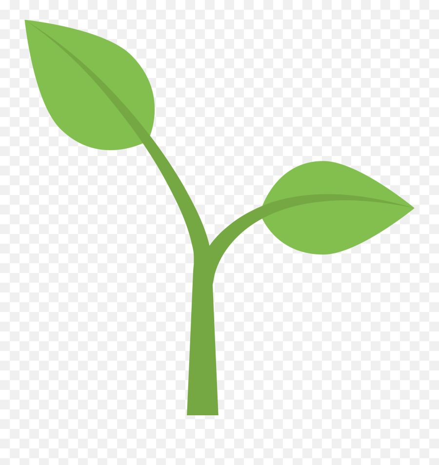 Flower Stem Template 1 Buy Clip Art - Plant Emoji Png,Flower Stem Png