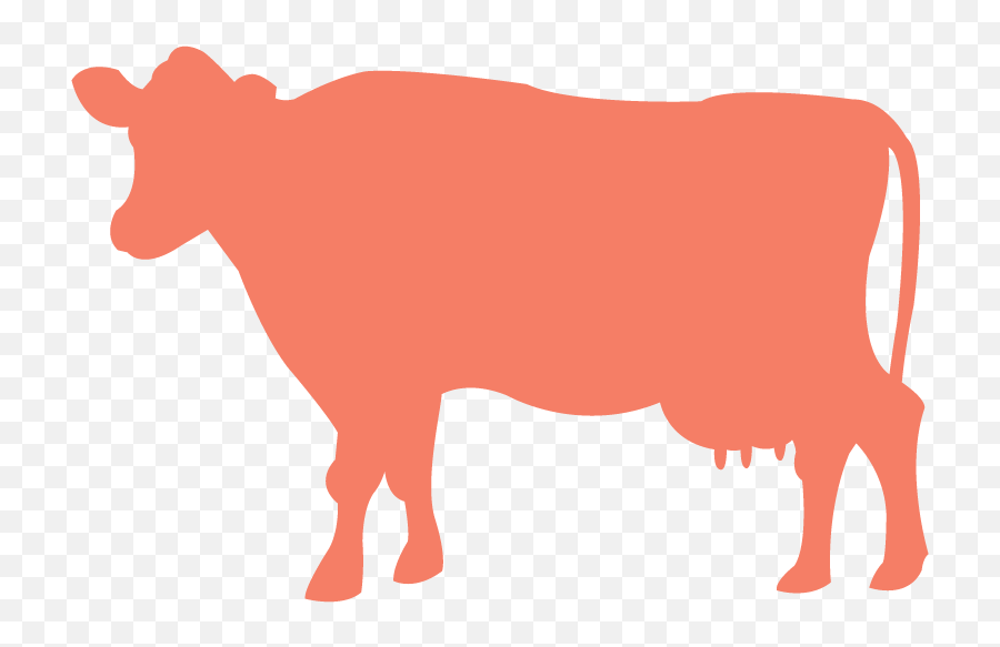 Forage U0026 Fable - Cow Grazing Clipart Transparent Background Png,Shadowplay Icon