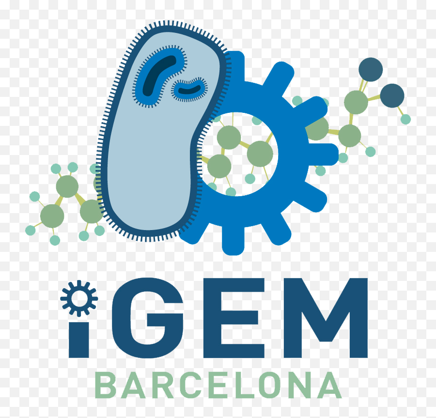 Teamupf Crg Barcelonagraphicdesign - 2018igemorg Igem Barcelona Png,Barcelona Logo